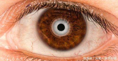 三D打印仿生技術取得新打破，仿生眼球，仿生脊柱或將問世